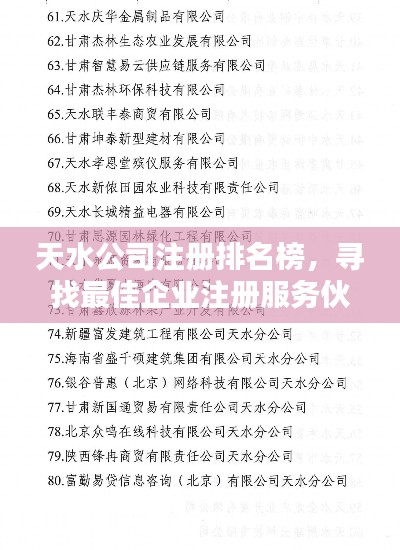 天水公司注册排名榜，寻找最佳企业注册服务伙伴