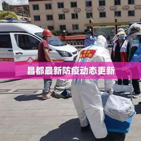 昌都最新防疫动态更新