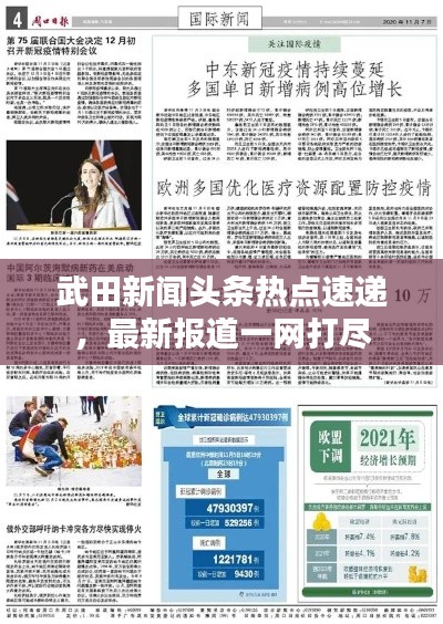 武田新闻头条热点速递，最新报道一网打尽