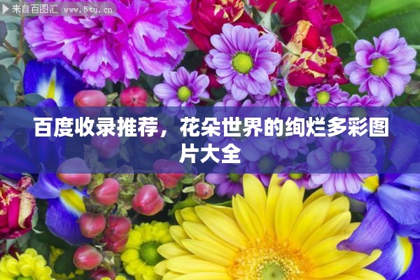 天生丽质 第4页