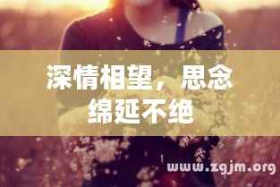 深情相望，思念绵延不绝