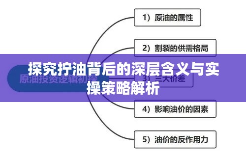 探究拧油背后的深层含义与实操策略解析