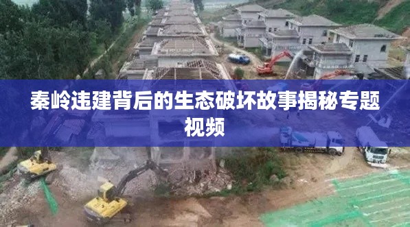 秦岭违建背后的生态破坏故事揭秘专题视频