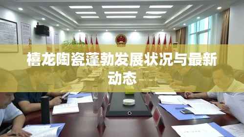 禧龙陶瓷蓬勃发展状况与最新动态