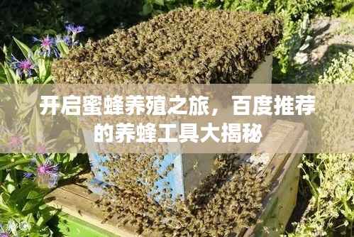 开启蜜蜂养殖之旅，百度推荐的养蜂工具大揭秘
