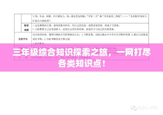 三年级综合知识探索之旅，一网打尽各类知识点！