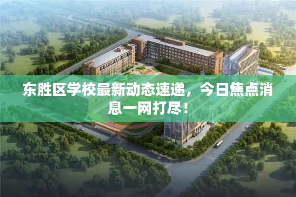 东胜区学校最新动态速递，今日焦点消息一网打尽！