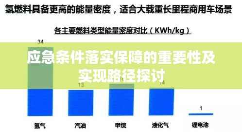 应急条件落实保障的重要性及实现路径探讨