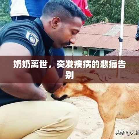 策名就列 第3页