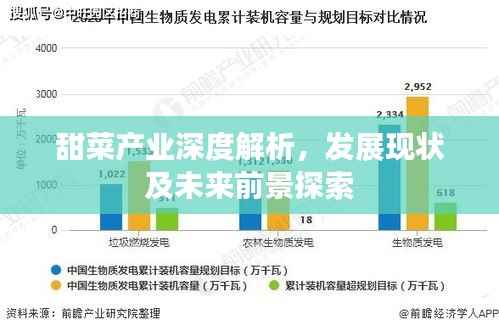 甜菜产业深度解析，发展现状及未来前景探索