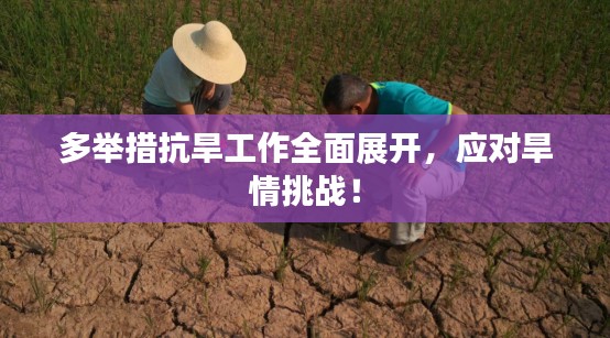 名士风流 第4页