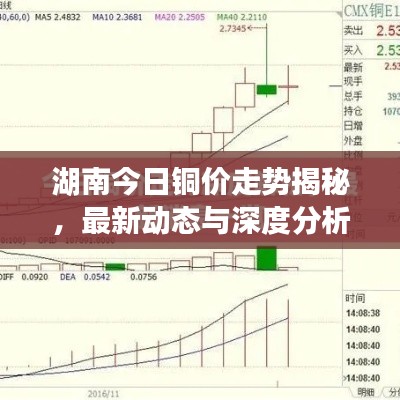 暗室屋漏 第3页