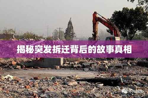 天潢贵胄 第4页