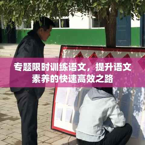 专题限时训练语文，提升语文素养的快速高效之路