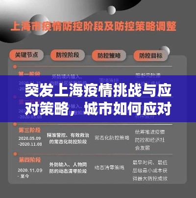 突发上海疫情挑战与应对策略，城市如何应对危机？