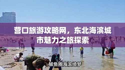 营口旅游攻略网，东北海滨城市魅力之旅探索