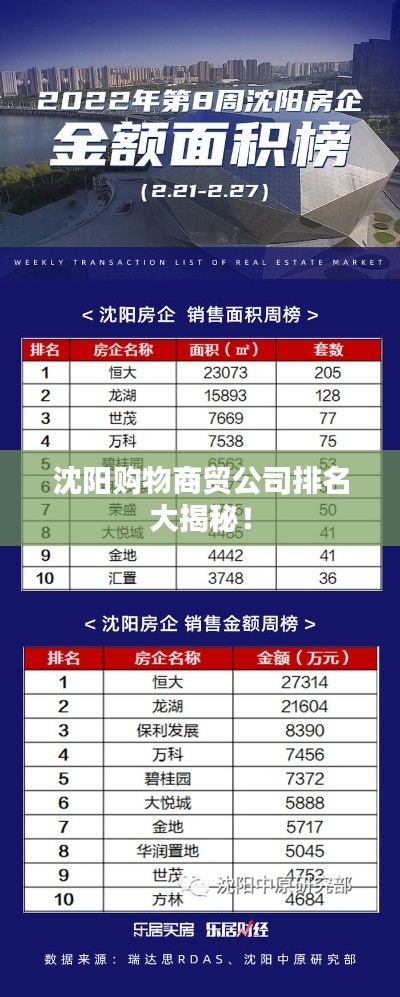 坌鸟先飞 第4页