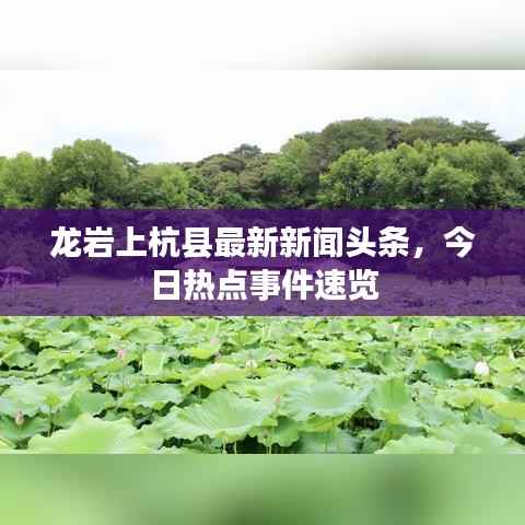 龙岩上杭县最新新闻头条，今日热点事件速览
