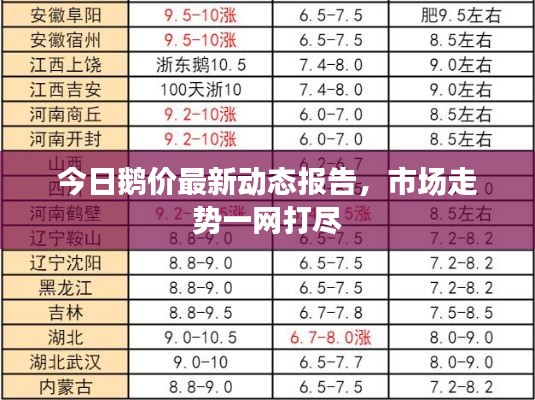 今日鹅价最新动态报告，市场走势一网打尽