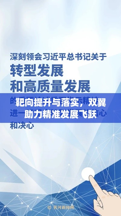 靶向提升与落实，双翼助力精准发展飞跃