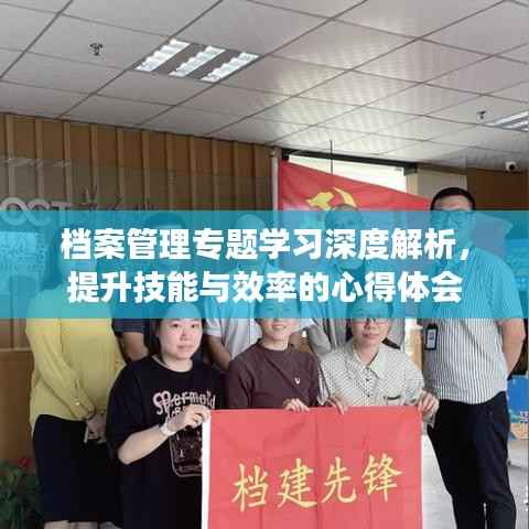 档案管理专题学习深度解析，提升技能与效率的心得体会