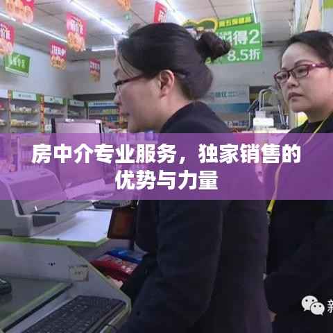 房中介专业服务，独家销售的优势与力量