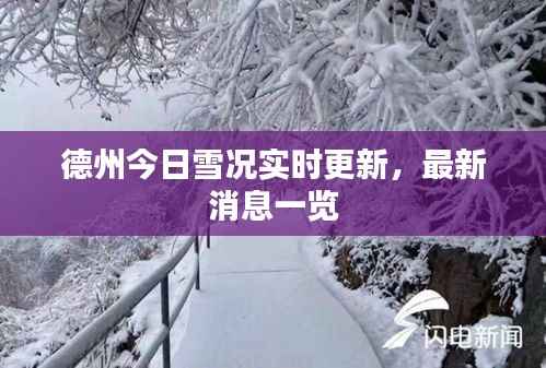 德州今日雪况实时更新，最新消息一览