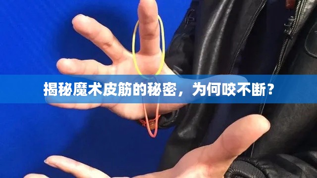 夯雀儿先飞 第4页