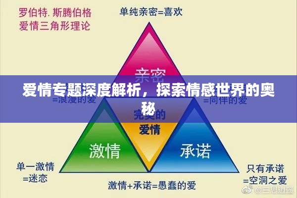 爱情专题深度解析，探索情感世界的奥秘
