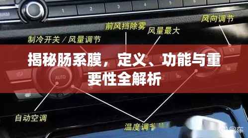 揭秘肠系膜，定义、功能与重要性全解析