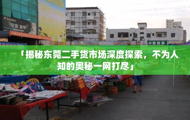 「揭秘东莞二手货市场深度探索，不为人知的奥秘一网打尽」
