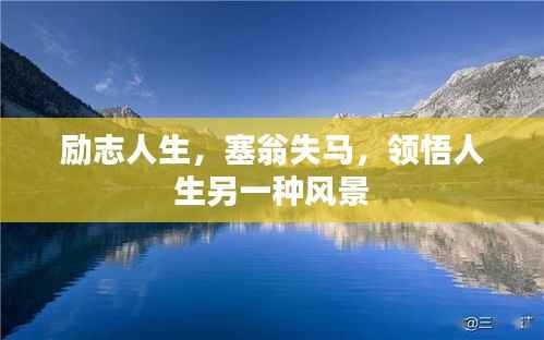 火伞高张 第3页