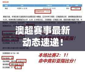 澳超赛事最新动态速递！