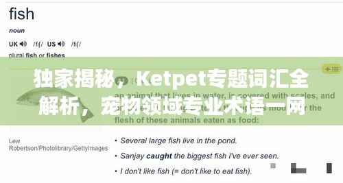 独家揭秘，Ketpet专题词汇全解析，宠物领域专业术语一网打尽！