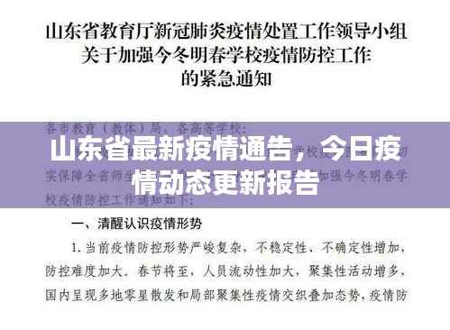 山东省最新疫情通告，今日疫情动态更新报告